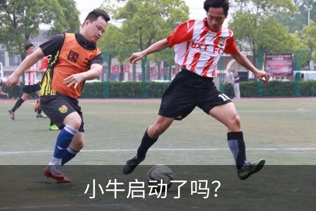 小牛启动了吗？